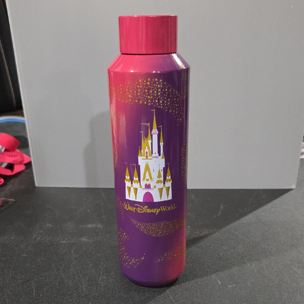 Disney Starbucks Metal Bottle